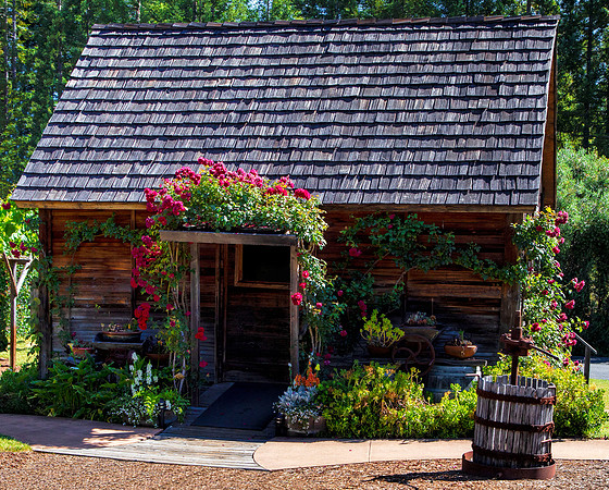 Cabin, Mendocino County
