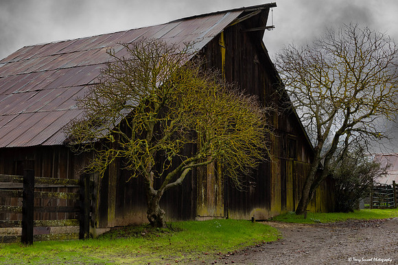 Barn 3 - Santa Rosa Creek Road, Templeton CA copy