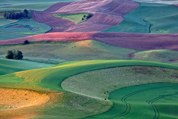 Palouse
