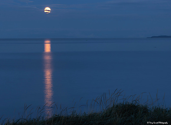 October 2024 Full Hunter's Moon 1 copy