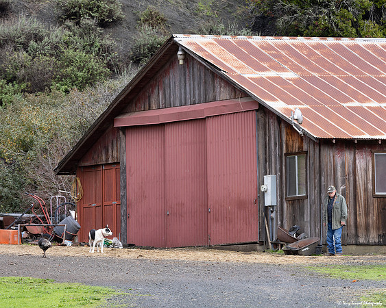 Barn on San Simeon Creek Rd 1 copy