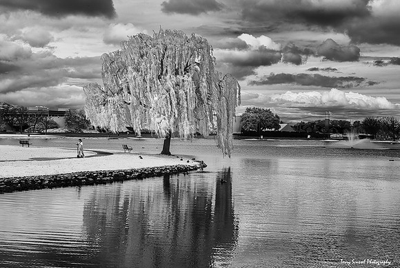 IR Marin Lagoon Park 2