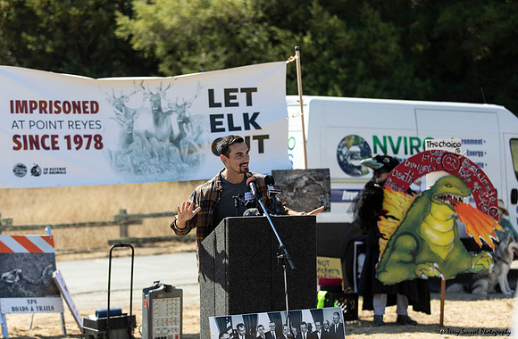 Save the Elk, Pt Reyes 13 (Terry Scussel)