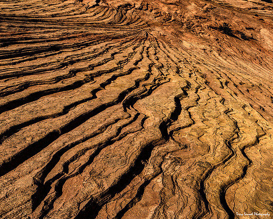 Layer and Shadows of Zion
