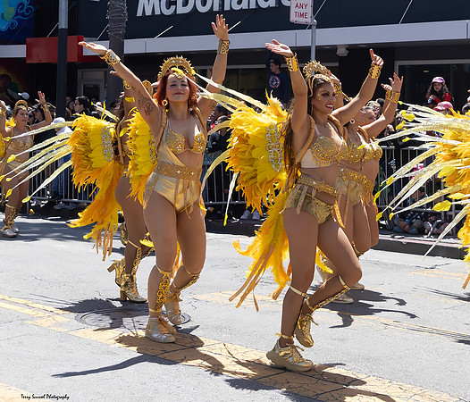 SF Carnaval Parade 156 (Terry Scussel)