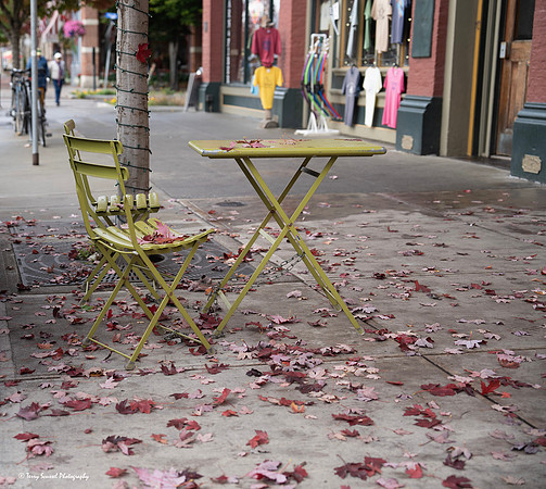 Fall Setting, Port Townsend copy