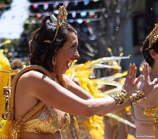 SF Carnaval Parade 152 (Terry Scussel)