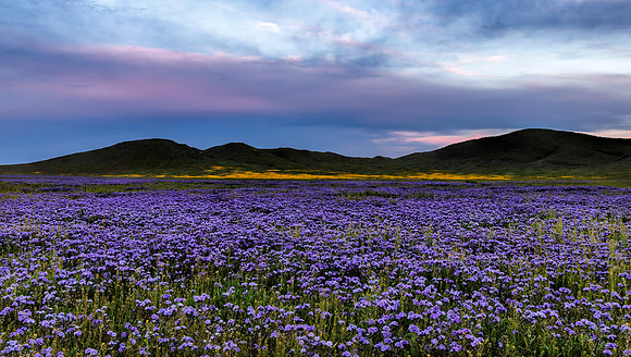 Carrizo 2