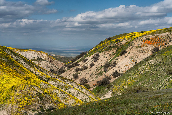 Bloom 2, Temblor Range Road - Carrizo copy