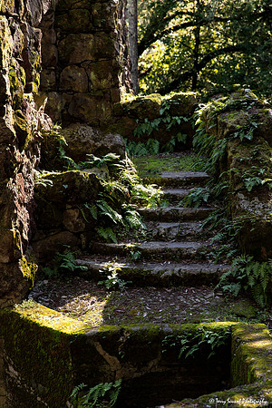 Jack London State Historic Park 2 copy