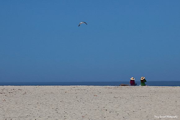 Beach Hats at Carmel River State Beach