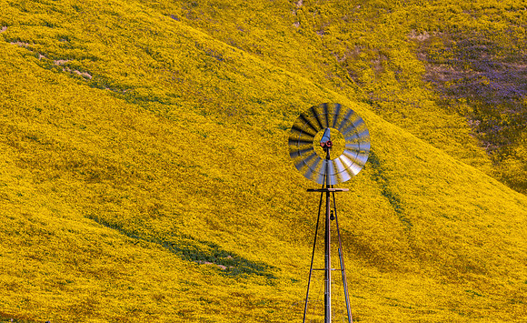Carrizo 3 - Copy