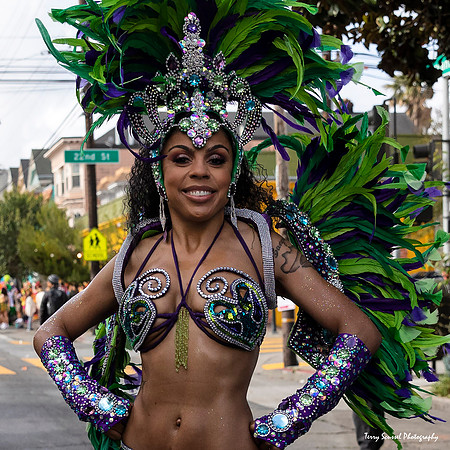 Carnaval SF 2019 3 (Terry Scussel)