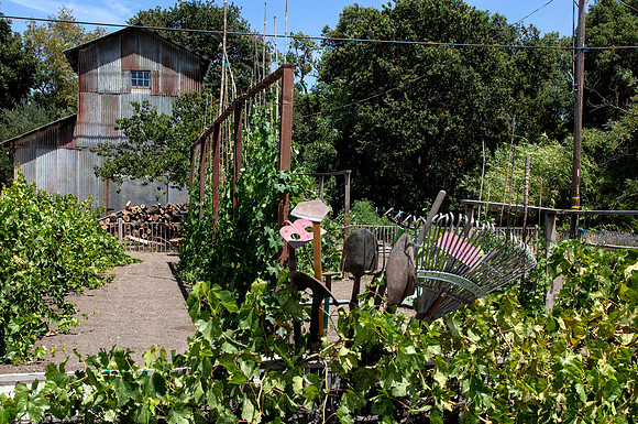 Locke Community Farm