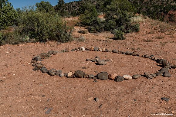 Is this the Vortex