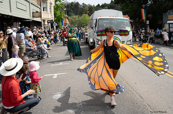 Fairfax Parade & Festival 2024 - 18 (Terry Scussel)