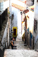 Coimbra Street 1 Cezanne