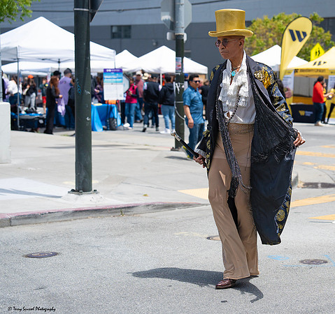 SF Carnaval Festival 2025 8 (Terry Scussel)
