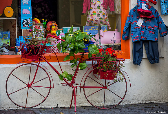 Bike Planter, Kinsale