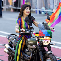 SF Pride 2025 5 (Terry Scussel) copy