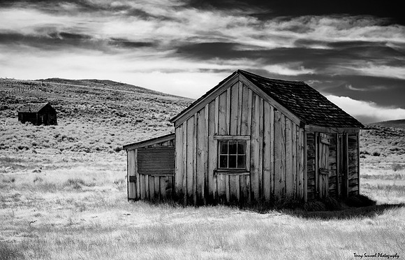Lonesome in Bodie B&W
