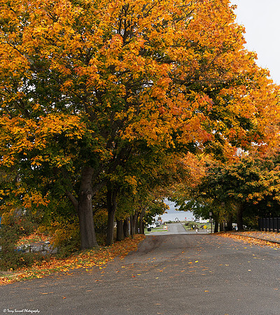 Jefferson Street, Port Townsend copy