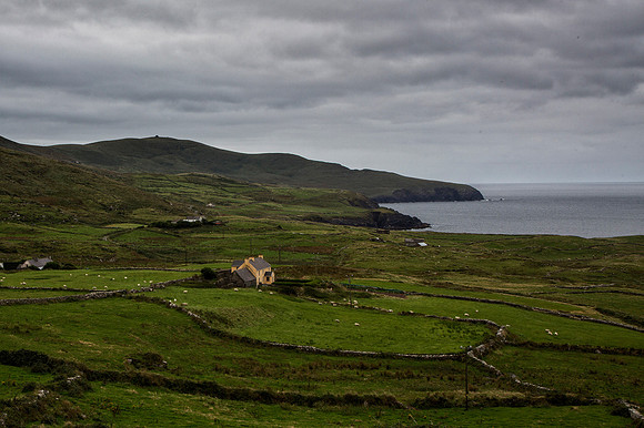 Bolus Head - Kerry Peninsula 1