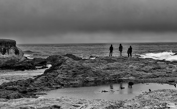 Sea Gazers, Glass Beach B&W