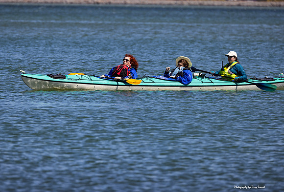 Marin Ventures - ETC Kayaking 22 (Terry Scussel)