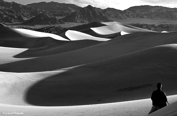 Hey you're in my photo - Mesquite Dunes