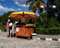 Fruit Drink Stand