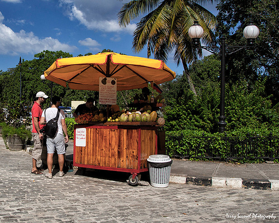 Fruit Drink Stand
