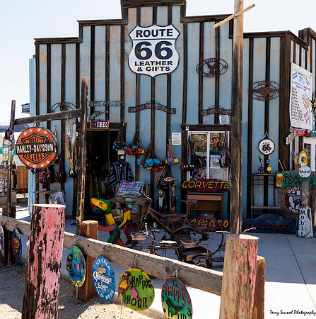 Oatman 9, AZ