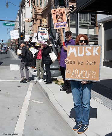 Anti-Musk_Tesla SF 2 (Terry Scussel) copy