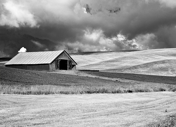 Long Barn BxW