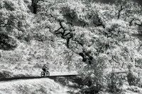 IR China Camp State Park