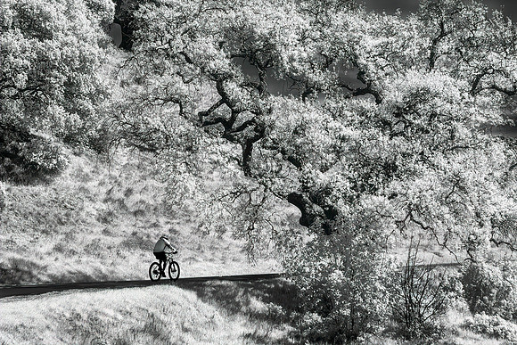 IR China Camp State Park