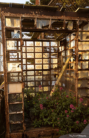 Greenhouse