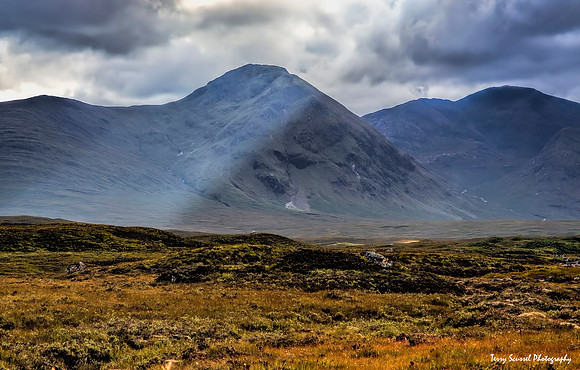 Highlands Rays