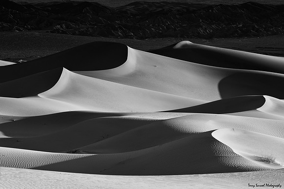 Dune 15