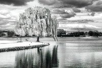 IR Marin Lagoon Park