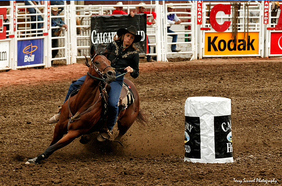 Barrell Riding, Calgary Stampede