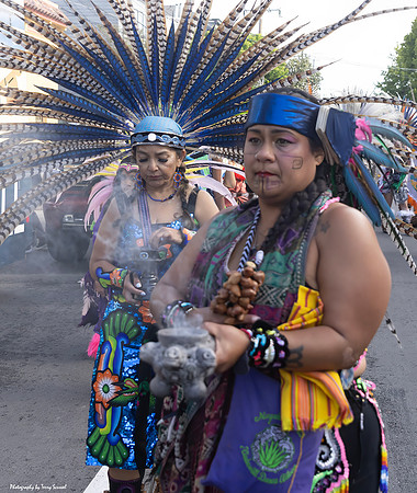 SF Carnaval Blessing 2 (Terry Scussel)