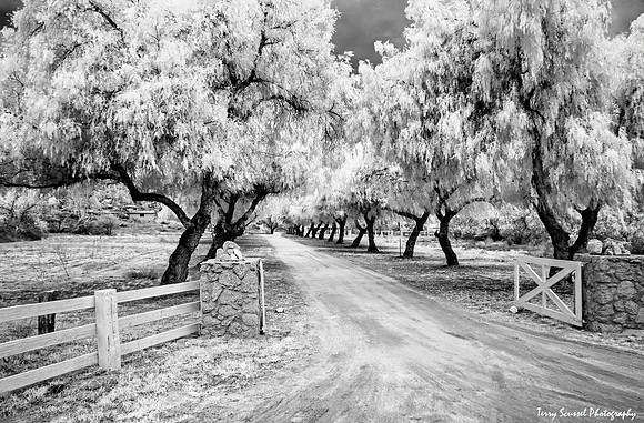 Riverside Ranch - Infrared