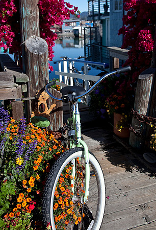 Sausalito Dock