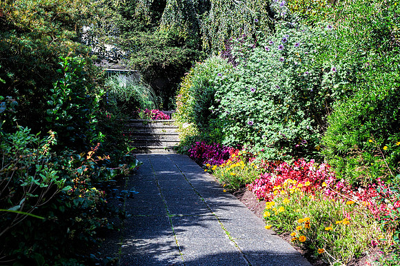 St Ives Gardens