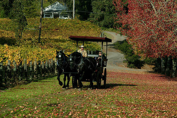 Carriage 1