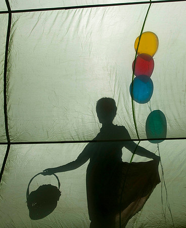 Gale Silhouette 2