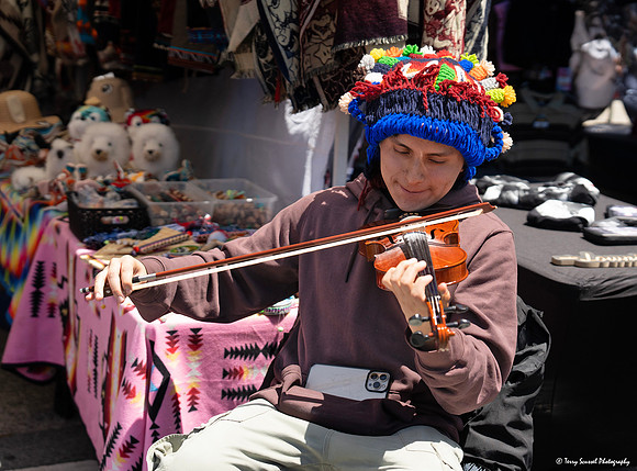 Violinst - 2024 Carnaval Festival (Terry Scussel) copy