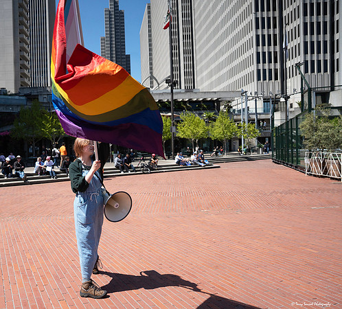 SF Peoples March 11 (Terry Scussel) copy